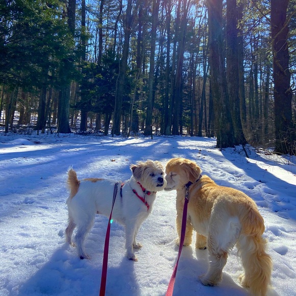 Men’s Nautica V-Neck Sweater - Picture 7 of 7